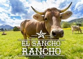 El Sancho Rancho font