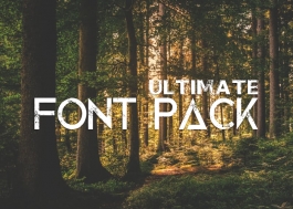 Professional Font Bundle